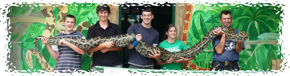 Borth zoo snake